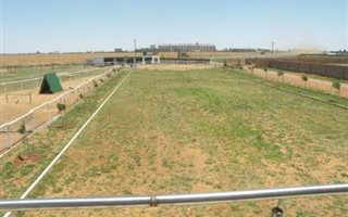 1 ha Farm in Lichtenburg