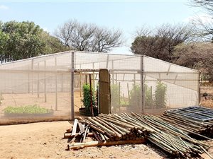 53 ha Farm in Louis Trichardt