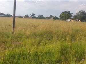 1012 m² Land available in Riversdale