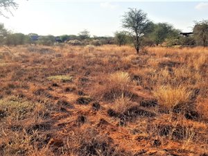 953 m² Land available in Kathu