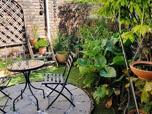 3 Bed Townhouse in Randpark Ridge