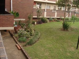 1 Bed Apartment in Pelham