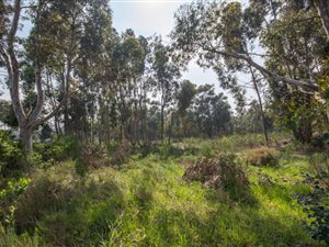 9276 m² Land available in High Riding Country Estate
