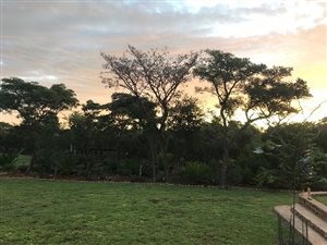 129 ha Farm in Alma