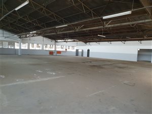 1098 m² Industrial space in Benrose
