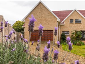 5 Bed House in Menkenkop