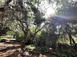 1719 m² Land available in Marina Beach