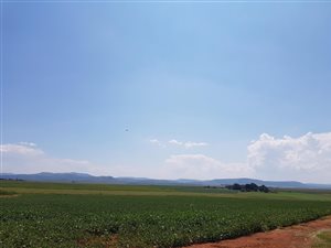 102 ha Farm in Winterton