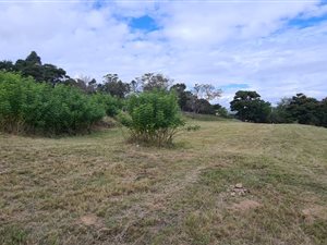 1093 m² Land available in Wild Fig Estate