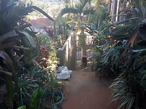 3 Bed House in Ocean View