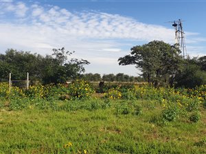 2376 ha Farm in Vryburg