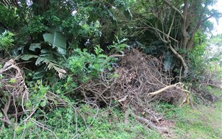 1097 m² Land available in Leisure Bay