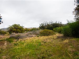 1.5 ha Land available in Voorbaai