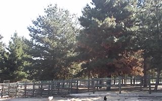 11 ha Farm in Philadelphia