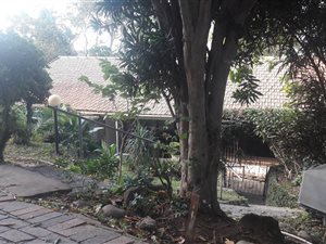 3 Bed House in Berea West