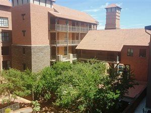 1 Bed Apartment in Newlands