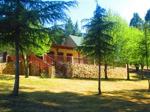 21 ha Farm in Dullstroom