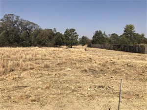 8 ha Land available in Tweedragt