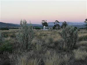 1285 m² Land available in Willowmore