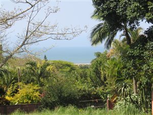 2039 m² Land available in Mtunzini
