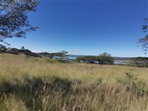 27.4 ha Farm in Albert Falls