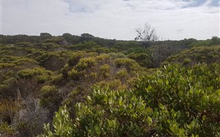 640 m² Land available in Suiderstrand