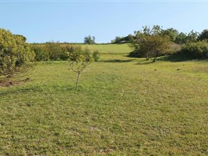 924 m² Land available in Forest Downs