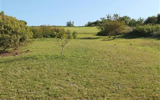 924 m² Land available in Forest Downs