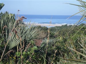 2643 m² Land available in Palm Beach
