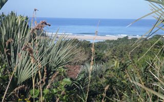 2643 m² Land available in Palm Beach
