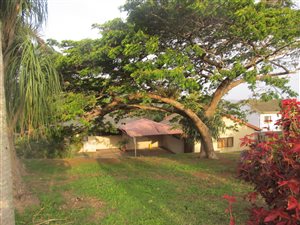 7798 m² Land available in Berea West