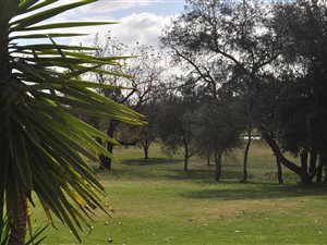 286 m² Land available in Risiville