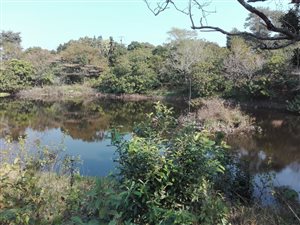8.6 ha Smallholding in Umzumbe