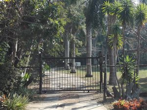 8.6 ha Smallholding in Umzumbe