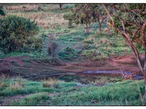 223 ha Land available in Lanseria and surrounds