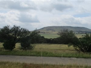 1.3 ha Land available in Walkerville