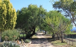 86 ha Farm in Ladismith
