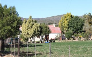86 ha Farm in Ladismith