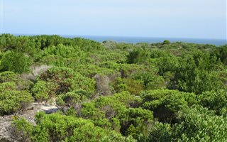 600 m² Land available in Agulhas