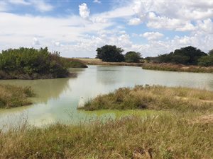 256 ha Farm in Delareyville