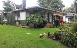 25 ha Farm in Louis Trichardt