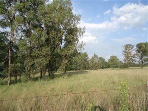 1.3 ha Land available in Heidelberg AH