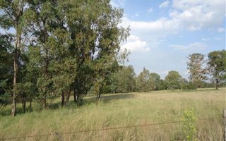 1.3 ha Land available in Heidelberg AH