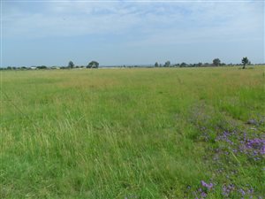 2 ha Farm in Boltonwold