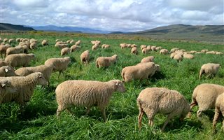 3002 ha Farm with House in Touws Rivier