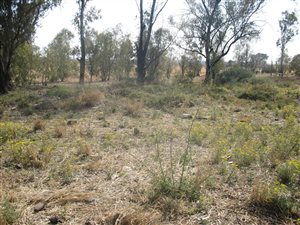 5.6 ha Land available in Lakeview