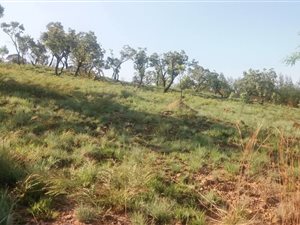 1504 m² Land available in Waterkloof Heights