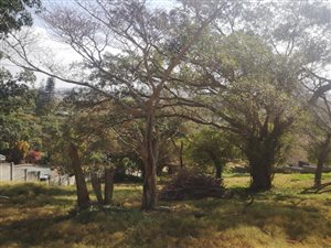 1753 m² Land available in Oslo Beach