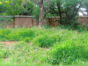 838 m² Land available in Mookgophong (Naboomspruit)