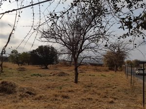 4193 m² Land available in Hoedspruit Wildlife Estate